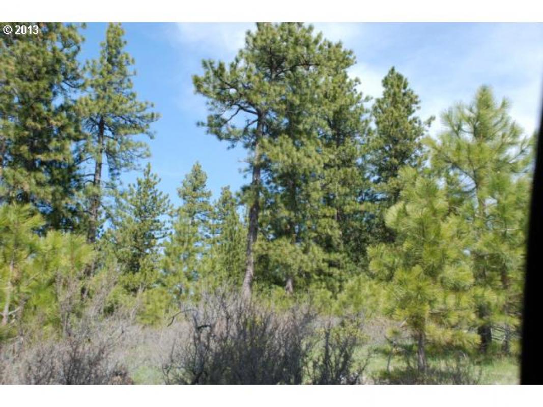 janeecekvr's tweet photo. I would love to show you my #listing at Pine Creek RD 7 #Bickleton #WA #realestate https://t.co/InYFy8vG0q https://t.co/5QT1KV7snG