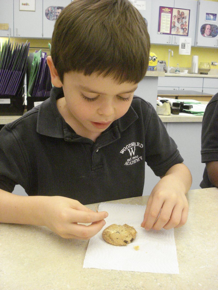 David Rogie tweet media