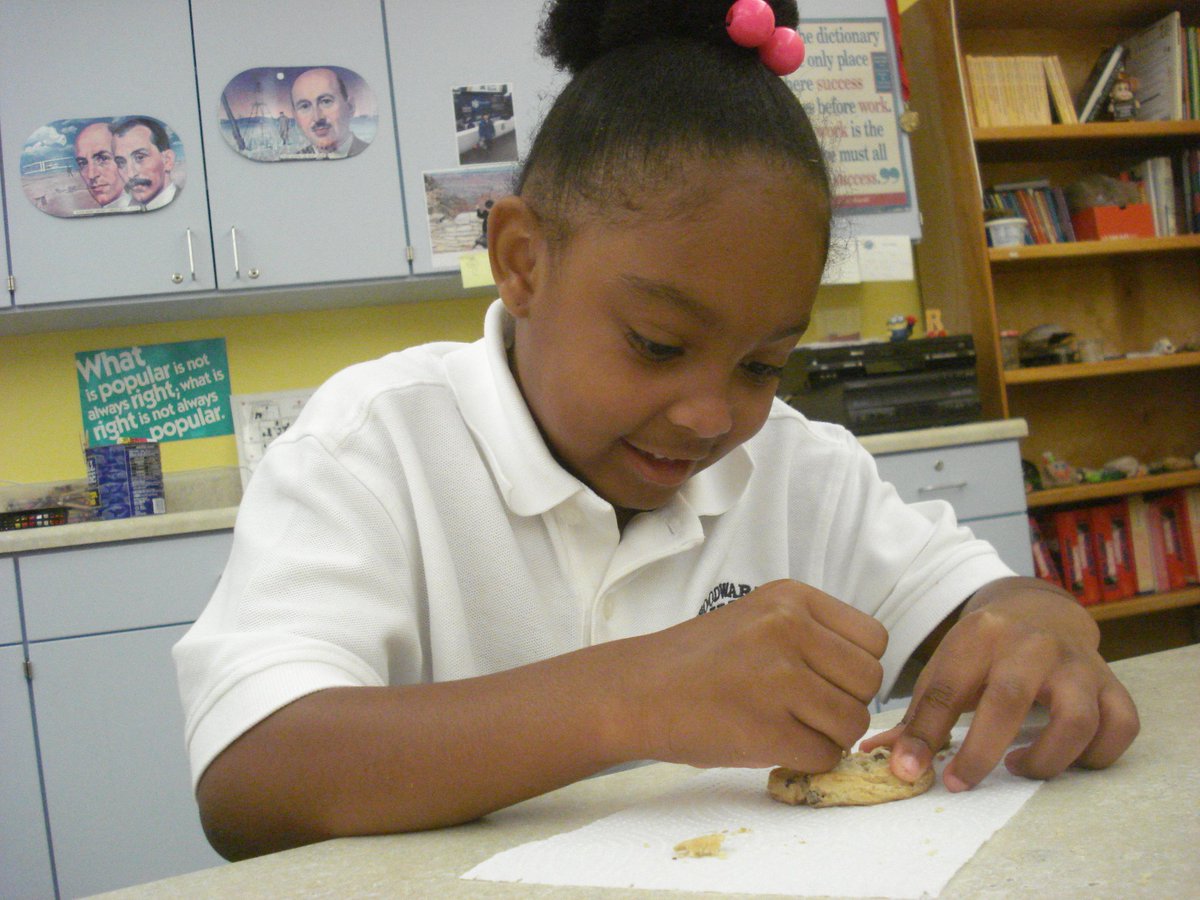 David Rogie tweet media