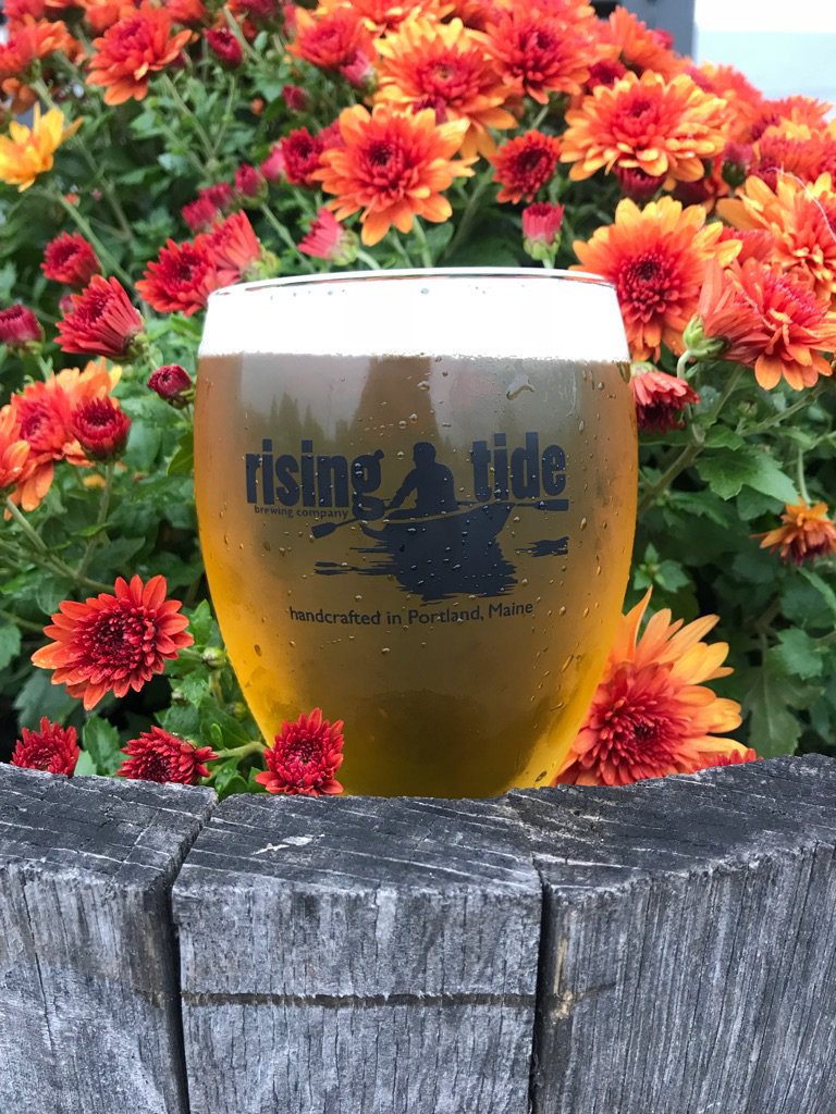 Don’t let this gloomy weather get you down! It’s cozy inside here at RT and we’ve got cans and growls to go as well.