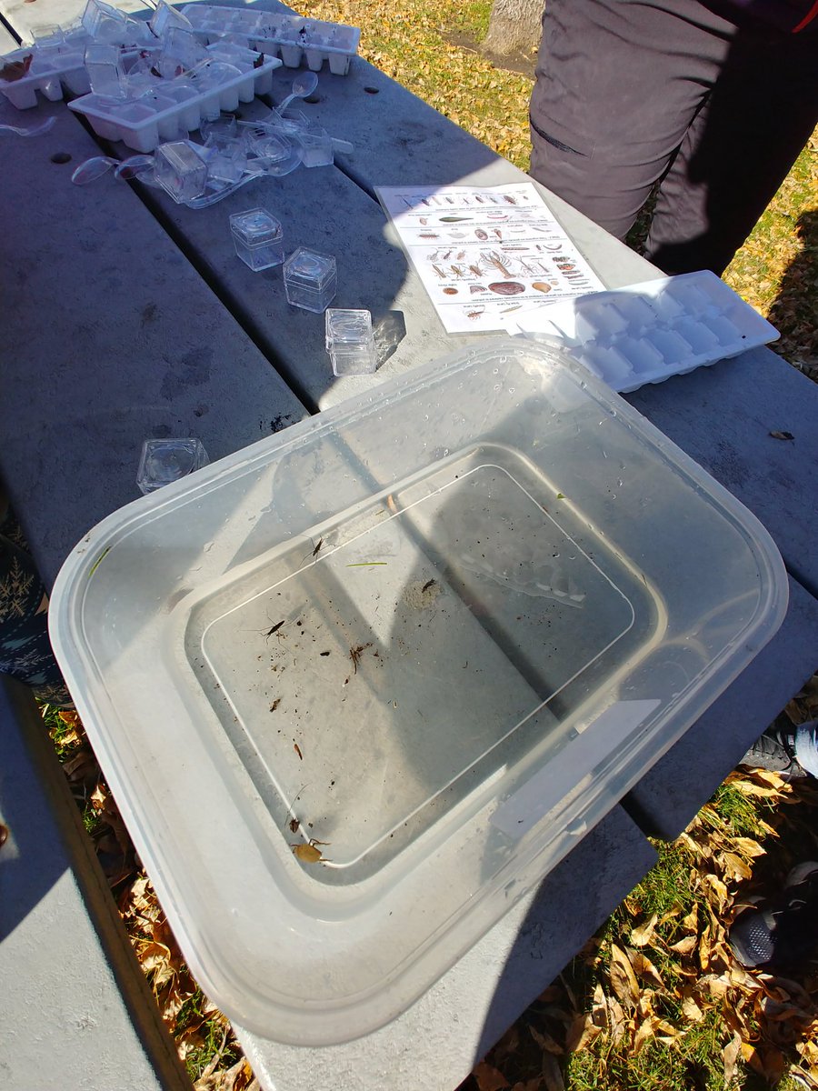 eduReknoy's tweet photo. Today the river is our classroom as 5th grade Ss explore and investigate the health of the Vermillion. @rvesnews @bergjaso @Soup192 @CindaiNature @LisaEdwards192 @district192 https://t.co/rxSf2qINpY