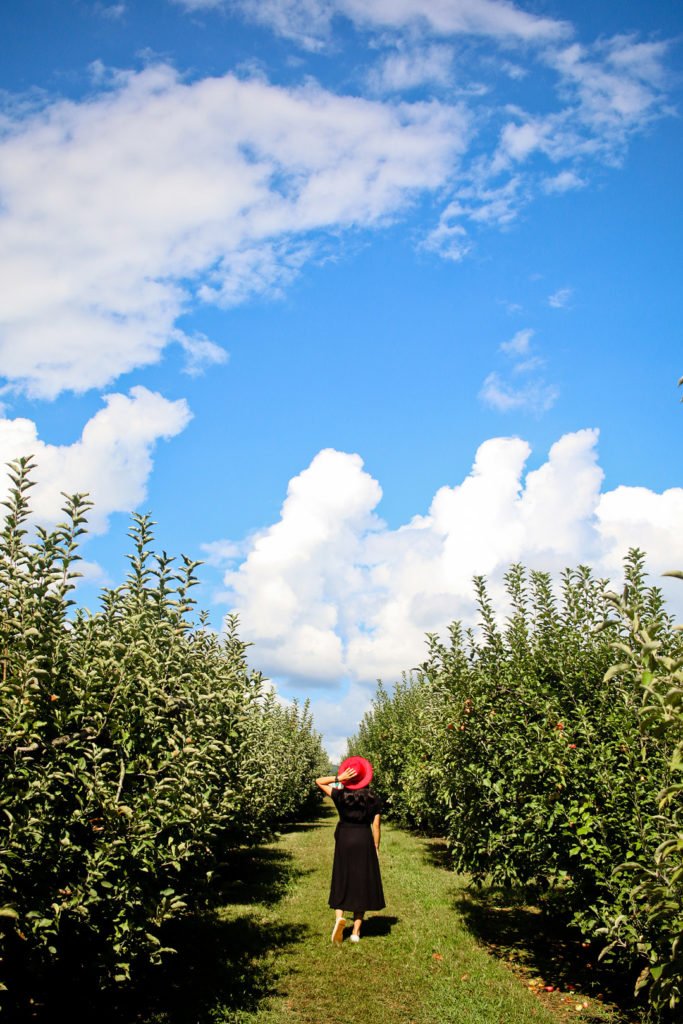 LocalAdventurer tweet media