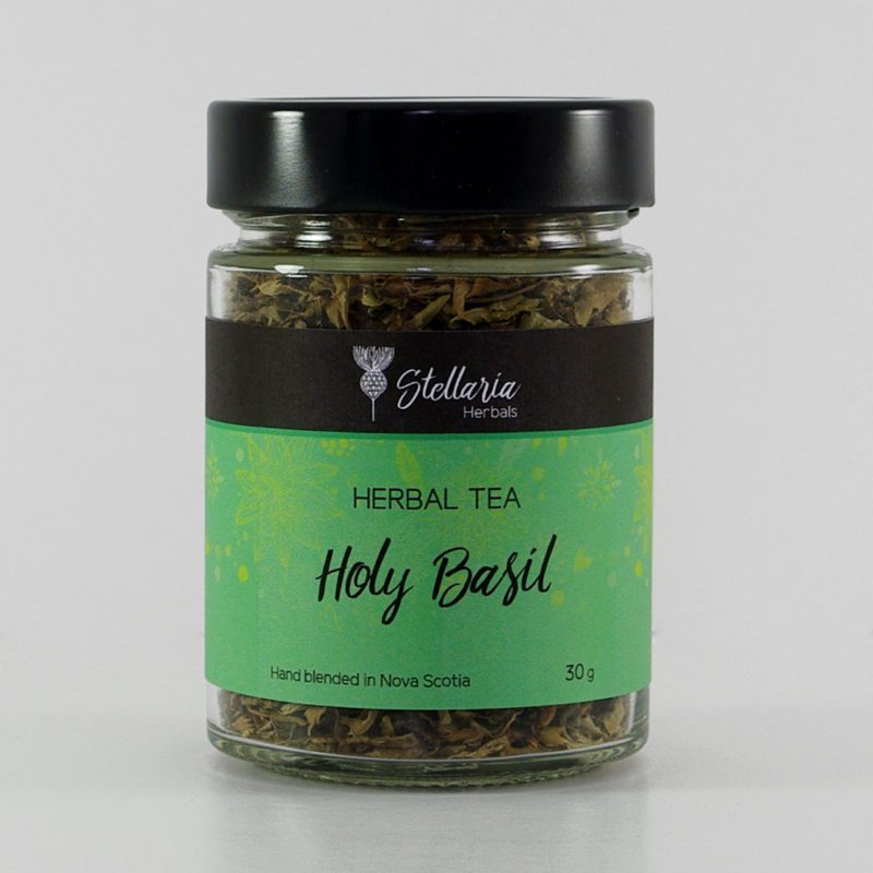SarahStellaria's tweet photo. Holy Basil https://t.co/Jtmq6Y9CTF https://t.co/F1ygQjqZyM
