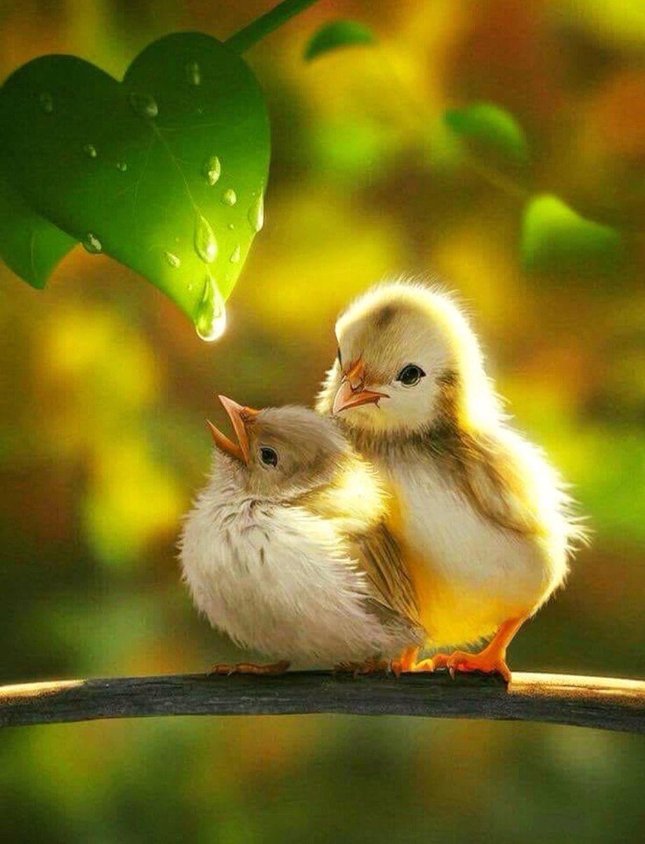 ' ' let it happen; patience and time give more result than strength and anger. ''