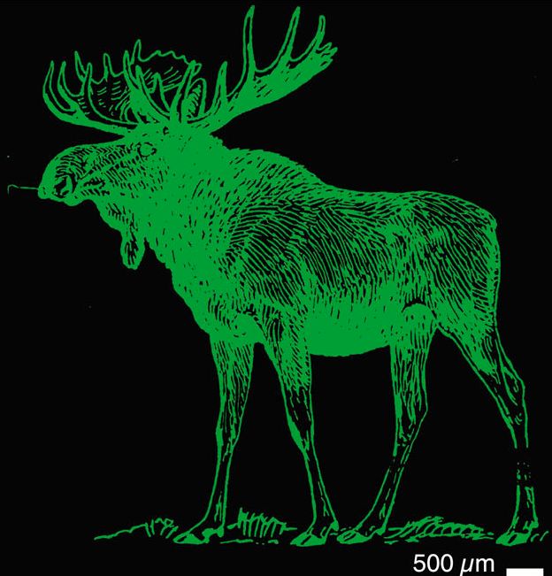 Vedran Đerek tweet media