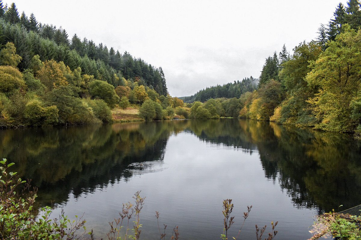 _Michaeldhill's tweet photo. Managed to get into @Dalby_Forest this morning to grab some pictures of the #NissenHut sculpture near #Adderstone. I even managed a quick stop of the #Autumn colours at #StaindaleLake 📸 https://t.co/0IM69qomCW