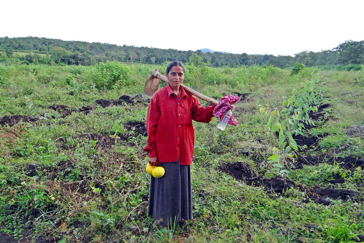 PazQuerida's tweet photo. Día internacional de las #MujeresRurales. Las que cuidan, protegen y siembran el mundo. 💪🙋‍♀️🌳 https://t.co/o0wXCHq2XV