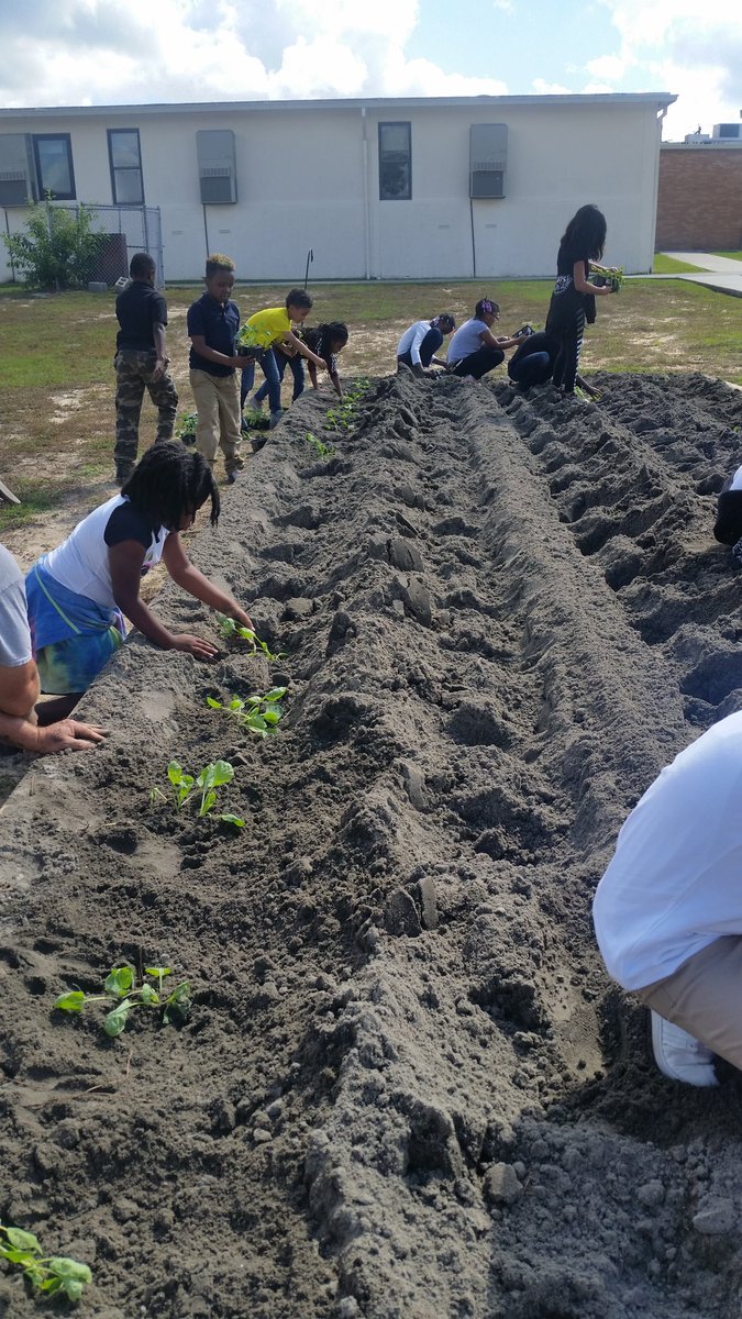 MsPerkinsPals's tweet photo. We can't wait to watch our school garden grow! Special thanks to @bonnieplants and @ShandonBaptist !  @ConderStars @PaulaChina1 @LisaSanchez530 https://t.co/60ed5ubcGJ