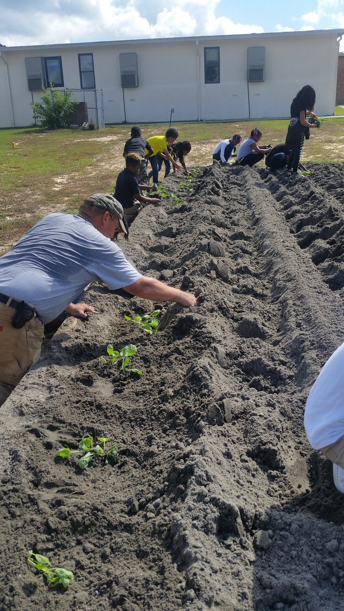 MsPerkinsPals's tweet photo. We can't wait to watch our school garden grow! Special thanks to @bonnieplants and @ShandonBaptist !  @ConderStars @PaulaChina1 @LisaSanchez530 https://t.co/60ed5ubcGJ