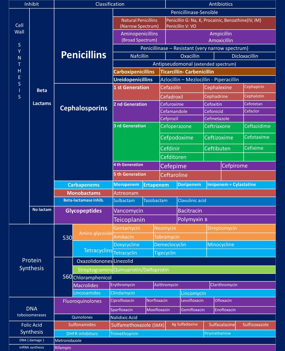 Antibiotic Spectrum Chart