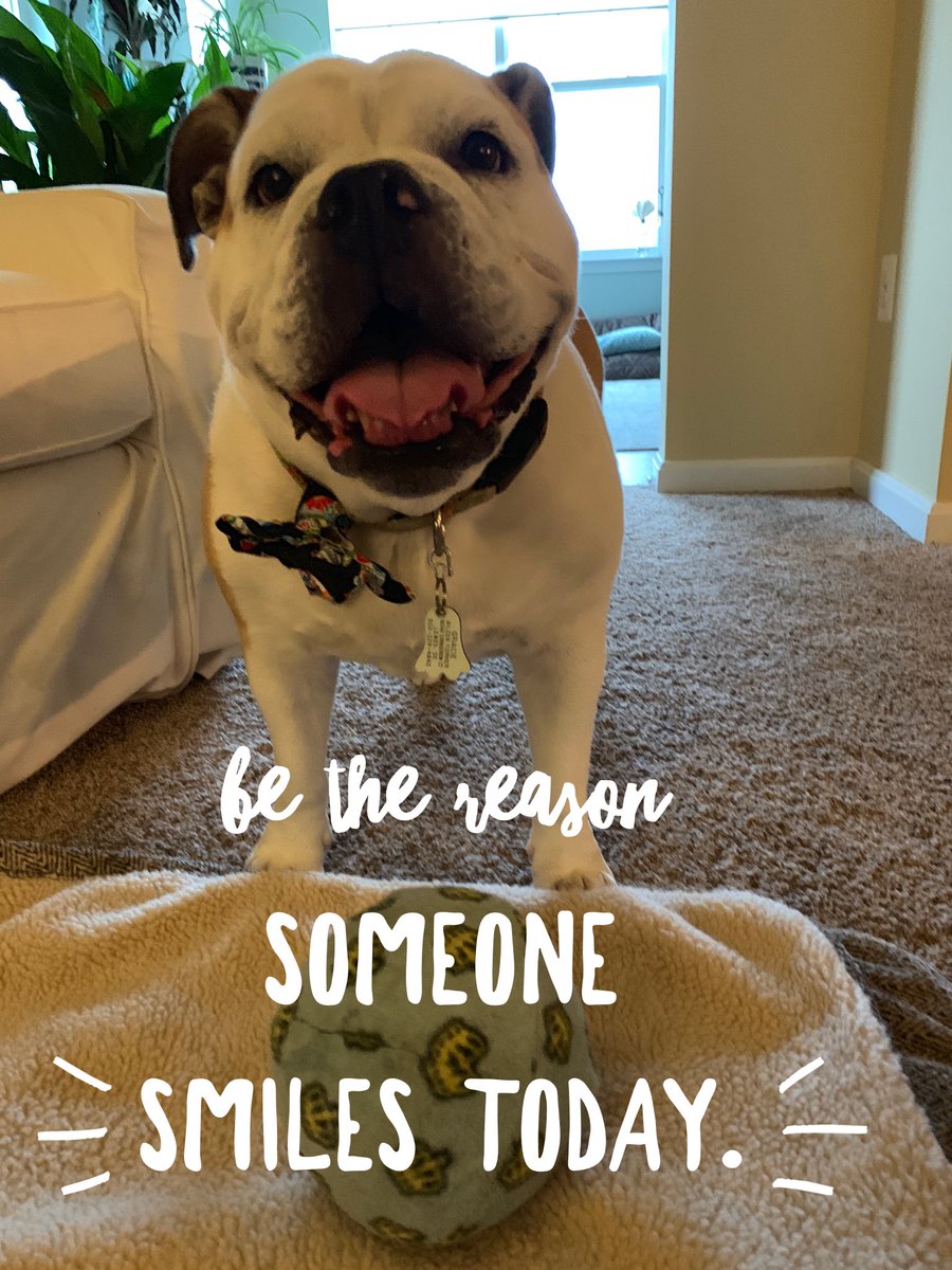 Be the reason someone smiles today. 😁 #spreadlovenothate #bekind #nobullyzone #smile #MondayThoughts #MondayMotivaton