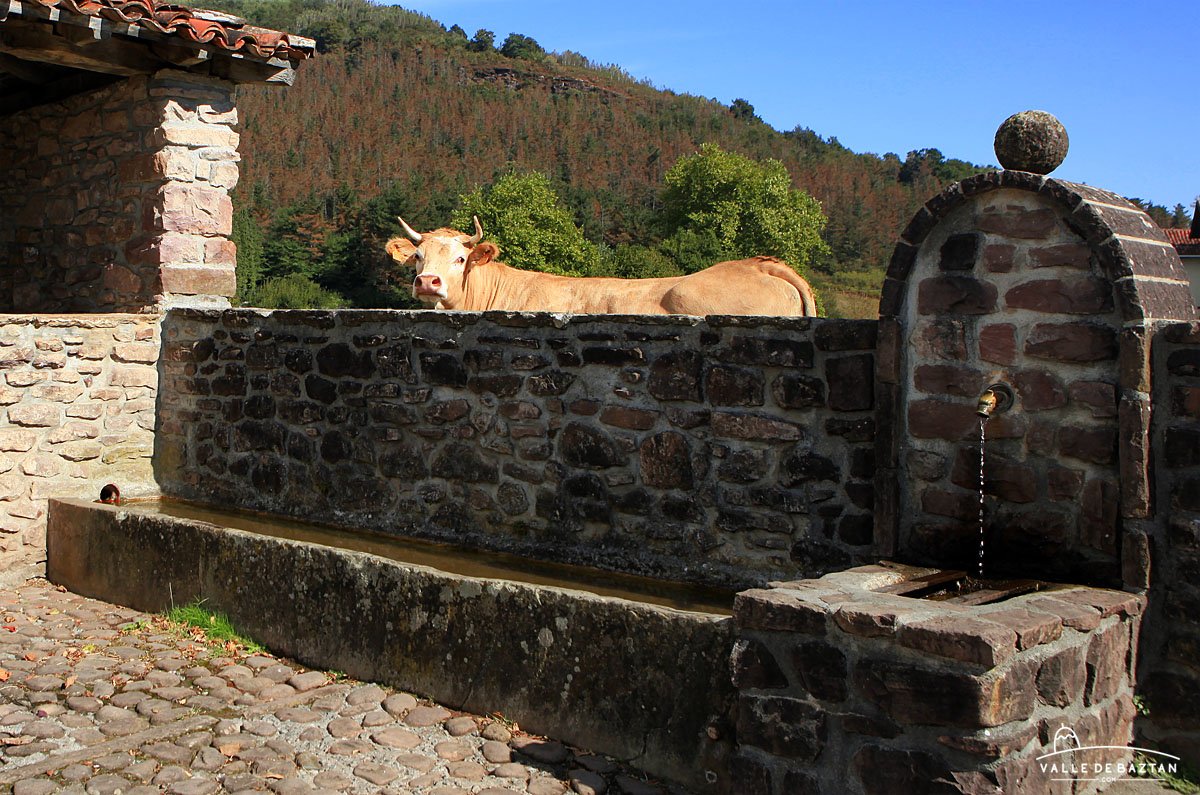 valledebaztan_'s tweet photo. Aska / Al otro lado del abrevadero (Elbete)
https://t.co/AiGeFW2gmY
#Baztan #Nafarroa #behia #vaca #Navarra #Elbete #turismonavarra https://t.co/J79a1MA25o