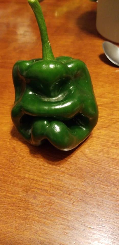 SaltyTalk's tweet photo. You wouldn't like that pepper if it was angry! #AngryPepper @Seanras @da_Fishy1 @yooper63 @Steve_from_SD @MalliardReport @TheShannonBurke @WAYNEnBALTIMORE @highspedchicken @skinbiscuits https://t.co/zwCDAPzQxb