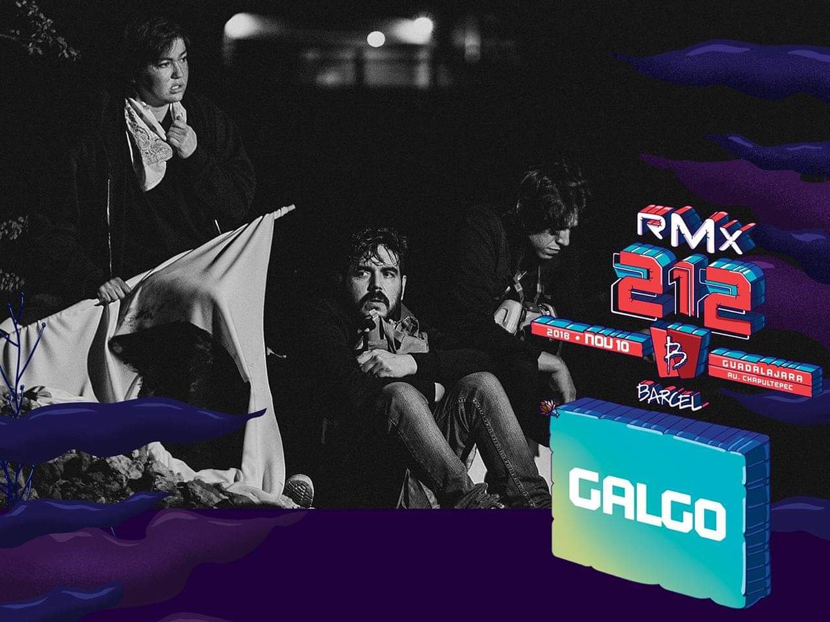 Galgo Music tweet media