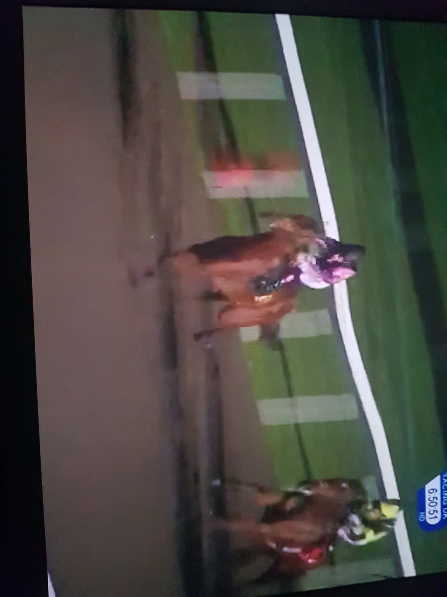 Nice to see my mare shamarlane have her first 2yr old winner top breeze  first time out at kempton tonight. Congratulations all connections