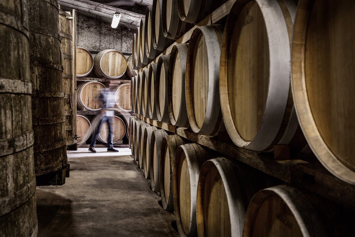 Cognac tweet media