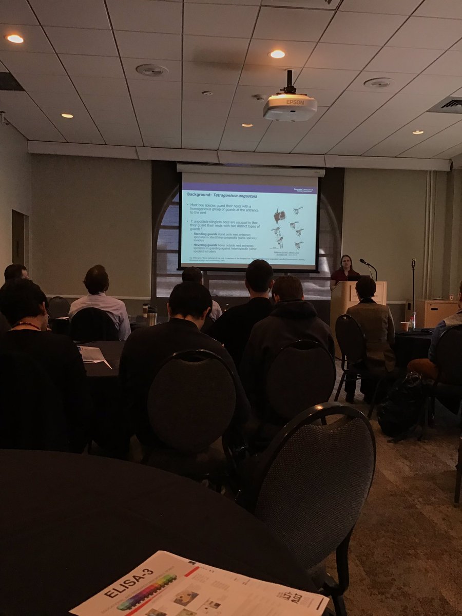 DARS2018Boulder's tweet photo. From honeybees in the last talk to stingless bees (Laura Strickland, @GTrobotics) in this talk! This time the focus is allocation of two different types of guards to protect a valuable nest from Invaders. So that's why I got accosted at the #DARS2018 doors by robots this morning! https://t.co/DELbl4Io5a
