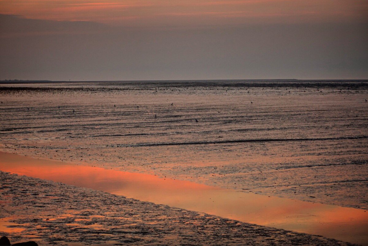 groningenzk's tweet photo. En verder helemaal niets... #avondrust #vitaminesea #friesekust even voorbij #lauwersoog https://t.co/Usqwc5VDZs
