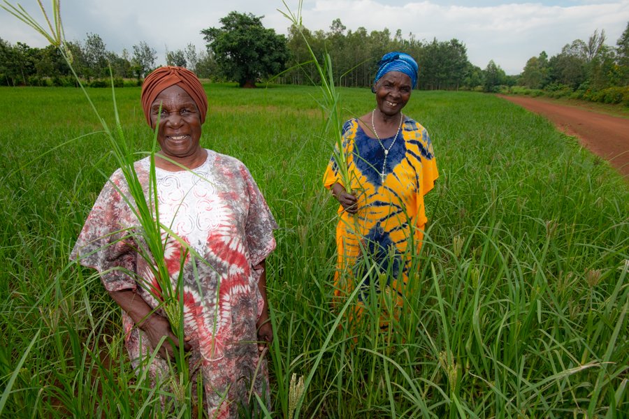 ICRISAT's tweet photo. Salute the agents of change #ruralwomen. #Foodsecurity, #EndPoverty, #ZeroHunger, can be achieved only if they are empowered. An inspiring story https://t.co/UwN9F3PrNZ https://t.co/PFMsnVm9Lk