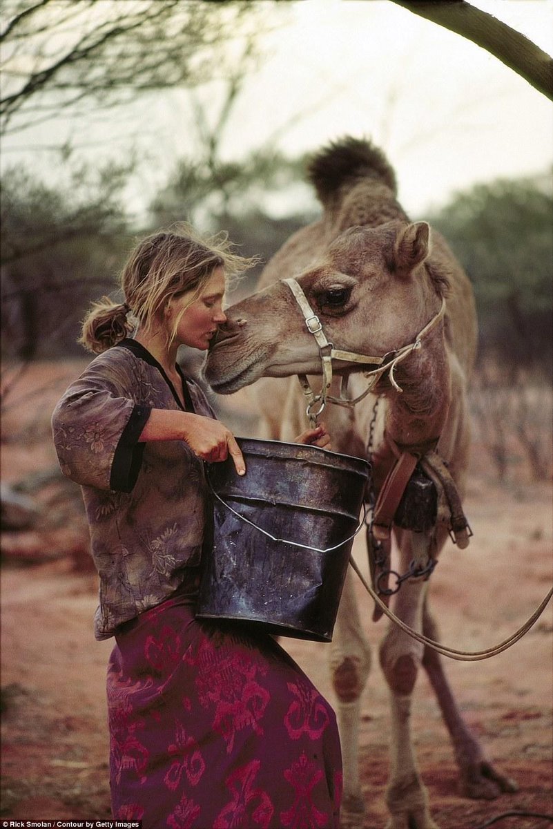manuobando_'s tweet photo. Inspiración #robyndavidson https://t.co/ZylhJWlKzv