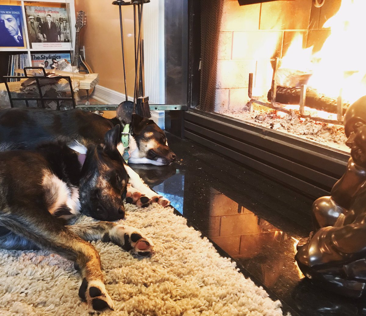 This Monday has just gone completely to the dogs... #bestfriends #warmfire #notalone #mondaymotivation