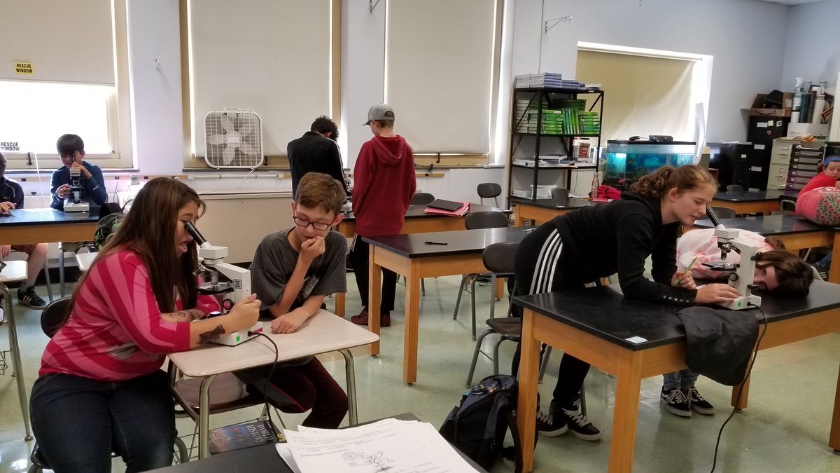 7th grade students got lots of practice with microscopes today as they looked at different slides and tried to figure out what was on the slide they were viewing! #lifescience #microscopemysteries #naplescsd
