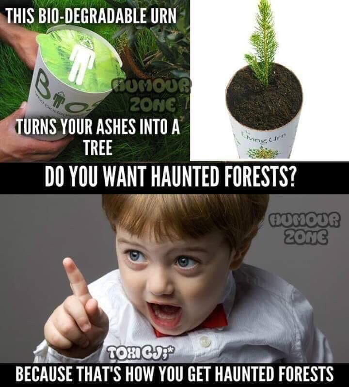 ThePhilosopurr's tweet photo. Sounds legit..
Although I do support this idea.
#BioUrn #HalloweenSeason https://t.co/XwBoHCFqq7