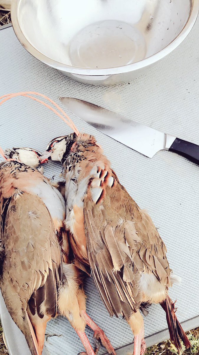 Charlotte ‘Garbs’ Wright tweet media