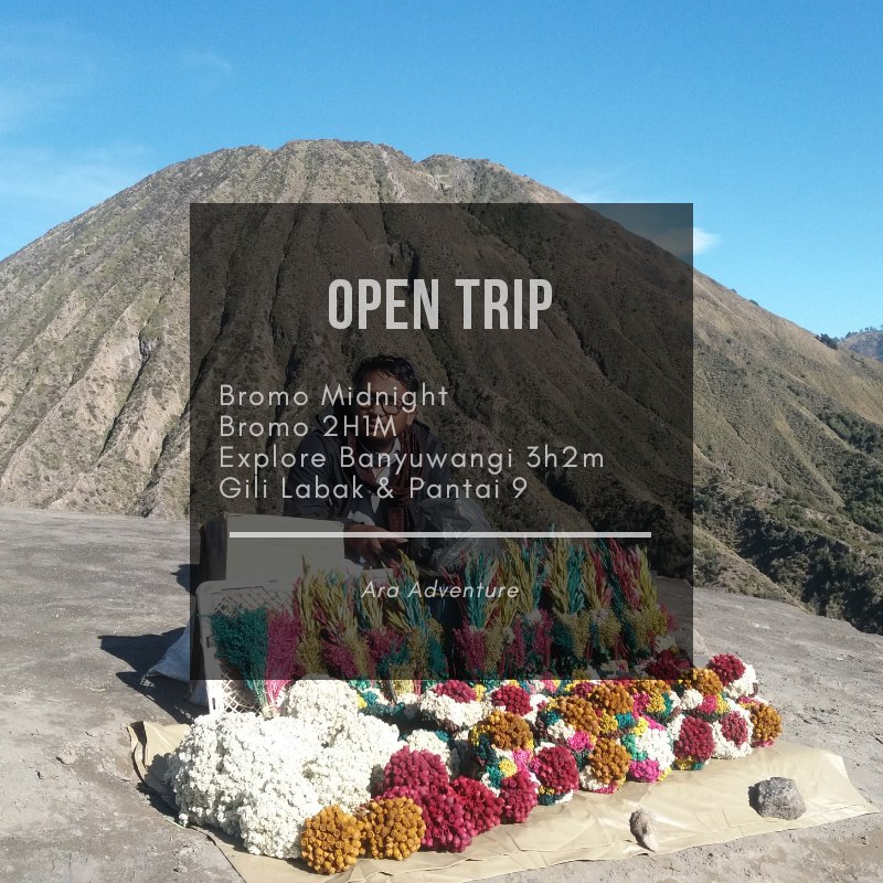 ara_adventure's tweet photo. Yuk Liburan Bareng @ara_adventure info detail paket : https://t.co/gywS0T8JGR

#araadventure #opentrip
#MEIZU #2018GantiMentan #IndonesiaRamahDisabilitas #PesonaFestivalGandrungSewu #fakelovejapanesever link https://t.co/8nj266avqF