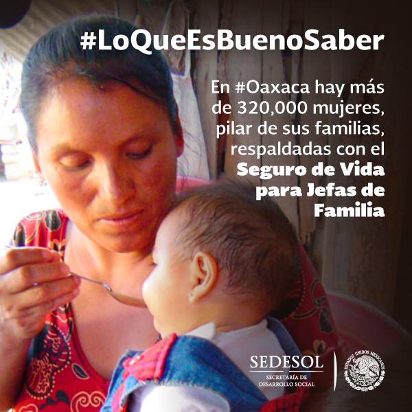 #LoQueEsBuenoSaber En #Oaxaca hay más de 320,000 mujeres pilar de sus familias, respaldadas con el Programa Seguro de Vida para Jefas de Familia. 
#SedesolContigo