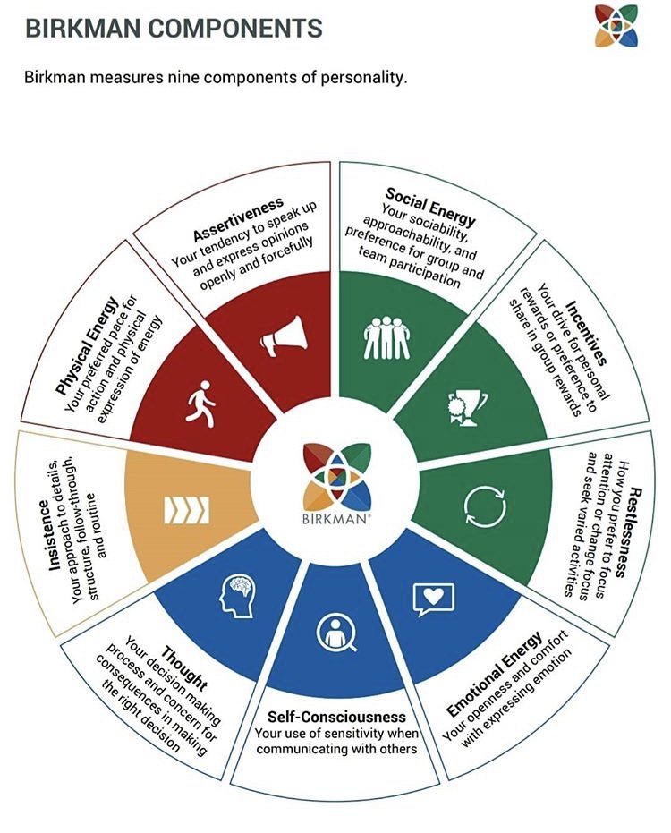 The Birkman Method measures 9 components of personality! #assertiveness #socialenergy #incentives #restlessness #emotionalenergy #selfconsciousness #thought #insistence #physicalenergy