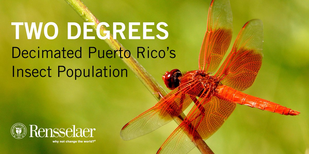 RPInews's tweet photo. In @PNASNews #Arthropod (bug) biomass has crashed and #foodweb is restructuring with a 2-degree C rise in average air temperature in the #PuertoRico Luquillo rainforest. The @RPI finding supports @UNFCC #IPCC warnings #climatechange  #RPIScience
https://t.co/kCGT4M2JO0 https://t.co/Kemc0R2OK4