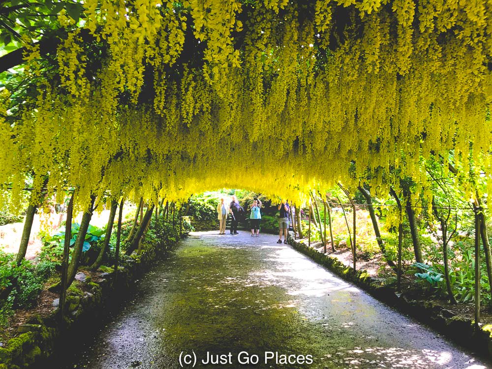 justgo_places1's tweet photo. Go for the gardens, stay for the food! Find out why Bodnant Gardens is considered by many to be the best in Wales #Findyourepic #Travel #OMGB https://t.co/y8yPuXkIXy https://t.co/GJya232AFb