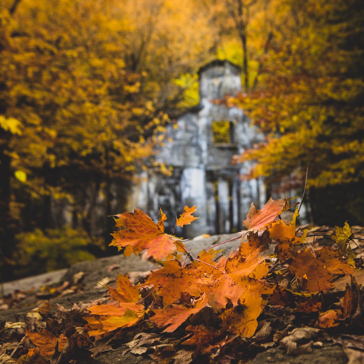 rolandbastphoto's tweet photo. The ruined of Wilson Carbide located in  the beautiful and stunning Gatineau Parc, have you been???  #outouaisfun #quebecoriginal #canoncanada https://t.co/abdKhR9beP