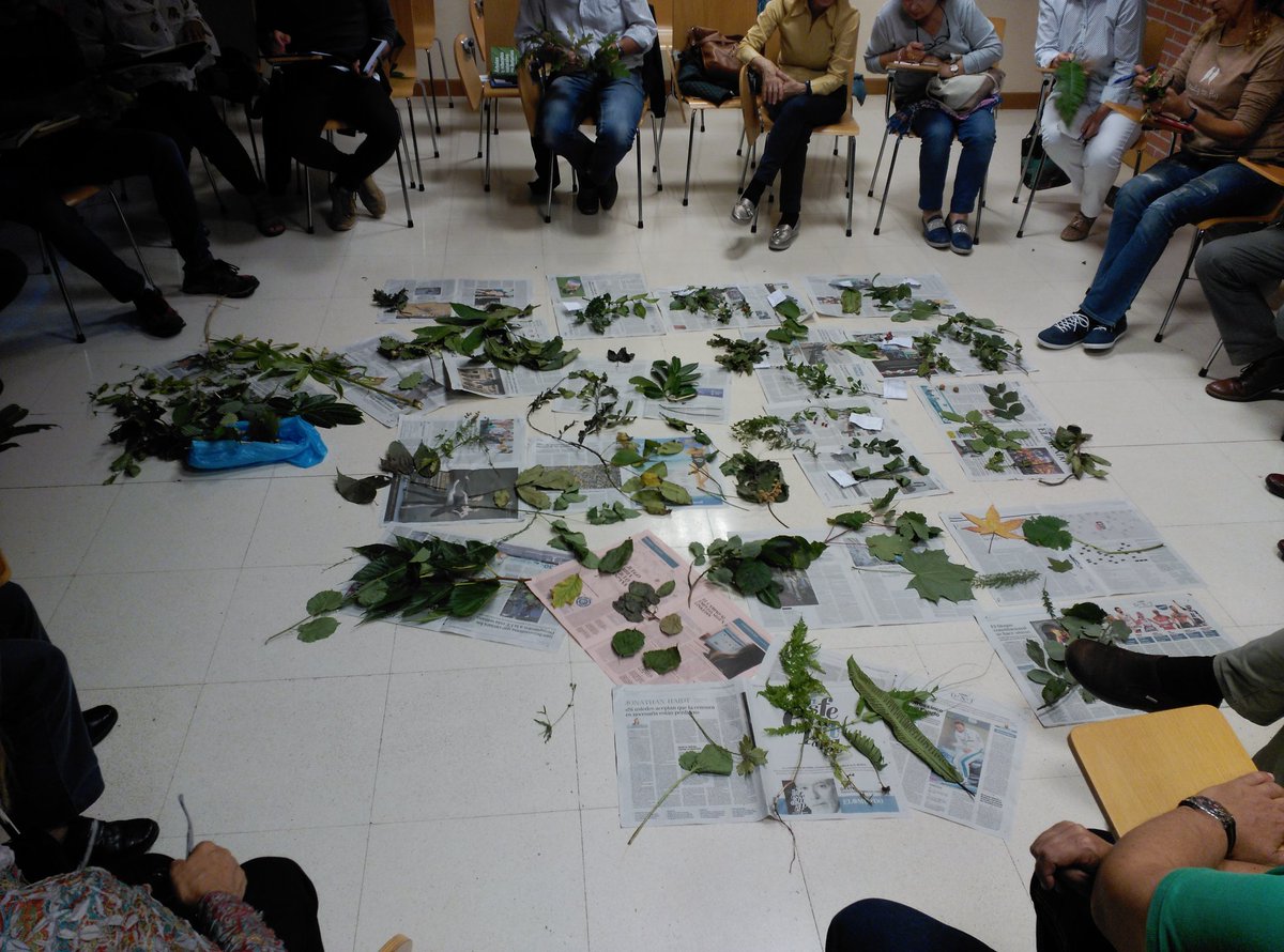AnaCantabrica's tweet photo. Curso bosques y árboles de Asturias ya a tope! @UPXixon #botany #cityzenscience Alumnos súper motivados ;-) https://t.co/Q60VMTzlC5
