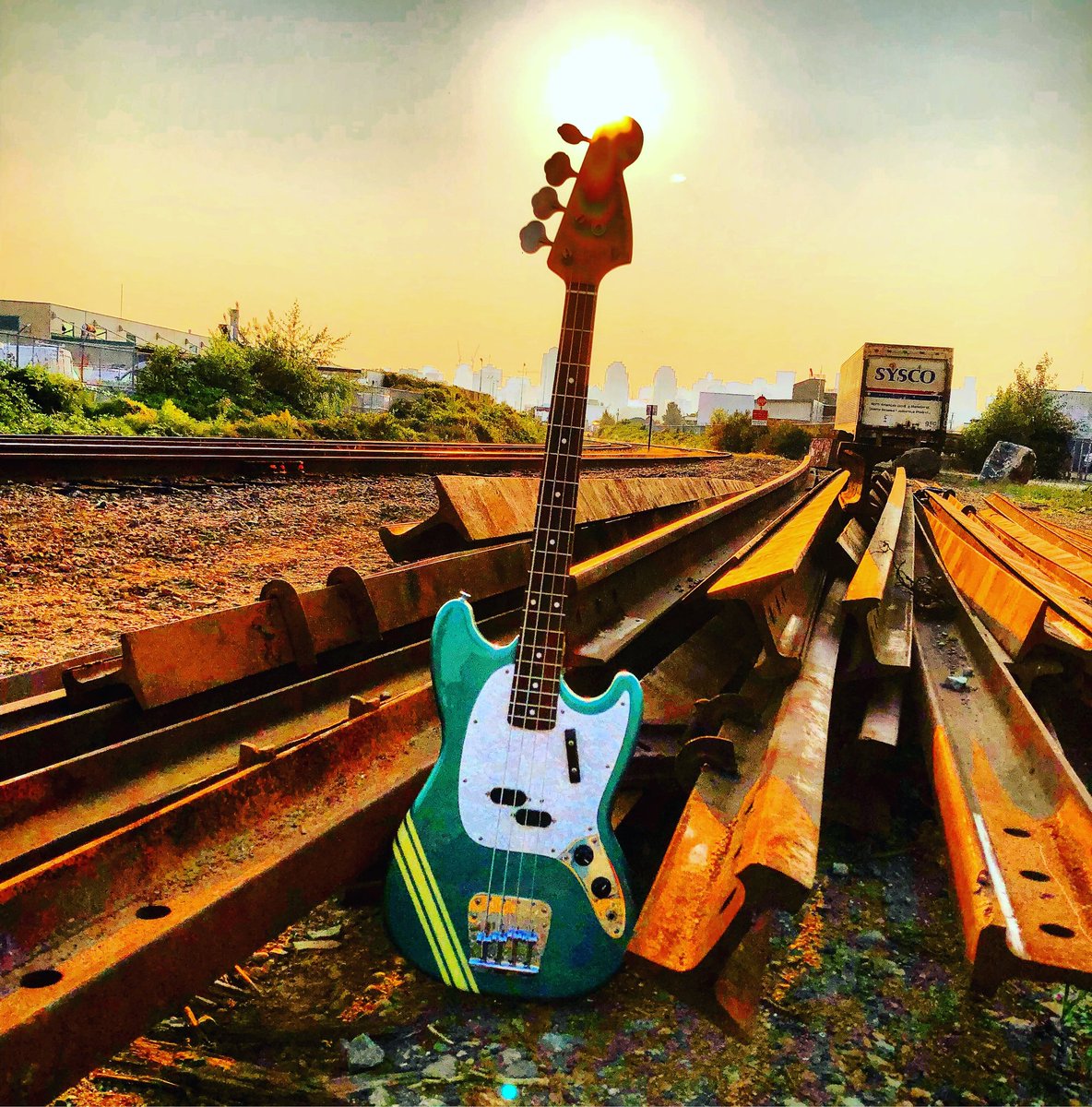 🎸☀️