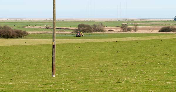 StphnWorrall's tweet photo. Calling the Small Earth Conference, Snape 2018: Help needed to challenge Alde/Ore Estuary Partnership/landowner plans for unsustainable tidal river walls and agriculture in AONB. Ignoring climate change, coastal squeeze, local ecosystems. We are local informed voices for nature! https://t.co/IMT5TbEFin