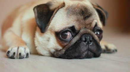 Trying to make it through Monday like....😴 Come visit us at Browns and we will struggle together! #MondayMood #BrownSocialhouse