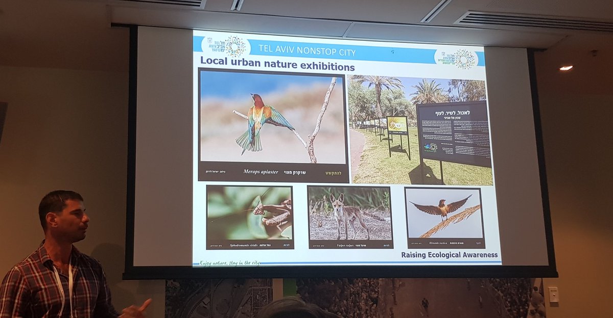 kzoceans's tweet photo. Interesting Israeli urban biodiversity in Tel Aviv: public restoration programmes, ecological signage by local artists, jackal's using biodiversity corridors, sheep mowing weeds, rivers with reeds, ducks &amp; kingfisher #telavivnonstopcity #iplc2018 https://t.co/FhMHKRK9Gm https://t.co/SUJabgo835