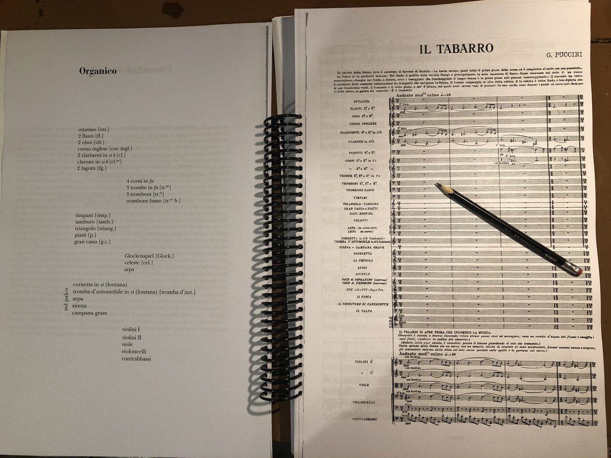 reyesvaldesalex's tweet image. Señalar una #partitura es uno de los más íntimos placeres de un músico. ¡A mover el lápiz!  
#music #fullscore #Puccini @Sopralita @FedeReyesMX @pianoboys @Elibarlevi