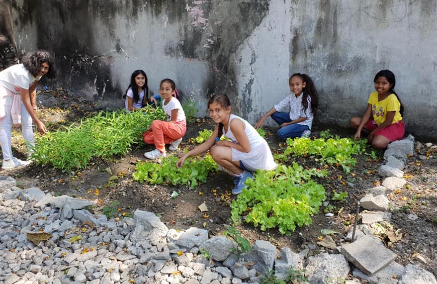 GrowCookEat's tweet photo. Students at St Anthonyβs International School are passionate about getting in the garden cultivating good soil. #SAKGF https://t.co/V20uW6Qpm5