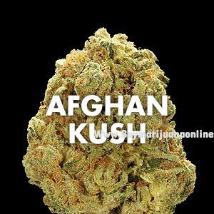 JamilaPlug's tweet image. buymarijuanaonline.store