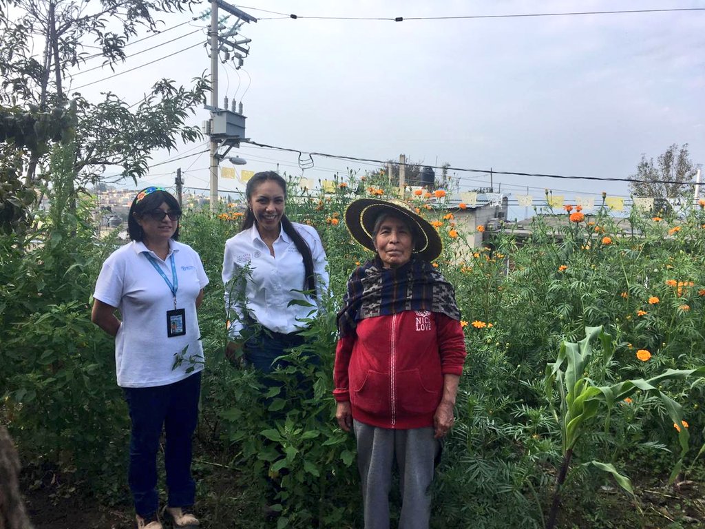 YeseniaMtzPlata's tweet photo. El trabajo en equipo refleja el compromiso y la responsabilidad con las productoras de nuestro campo mexicano la UVT-FAO realizó visitas de seguimiento y verificación técnica a beneficiarias de proyectos de autoconsumo de #ECENM #CDMX de la @SAGARPA_mx @BaltazarxTam @sm_chavarria https://t.co/HKBNcmG42J