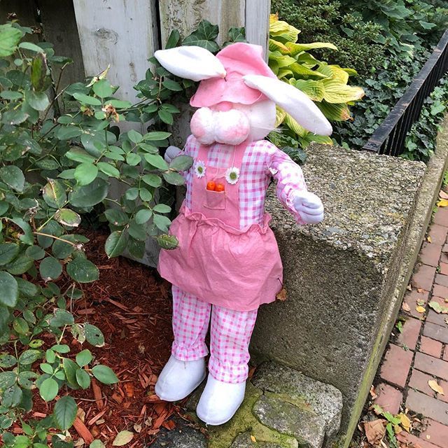 GarbageofMurica's tweet photo. “My childhood was very difficult. My father was a neurotic, anxious farmer named Rabbit. He would spend his days screaming at our neighbors, who always got him involved in some sort of scam. They all had mental issues. One was a donkey with depression an… https://t.co/hJrAEvghjS https://t.co/fG8hkDmz5l