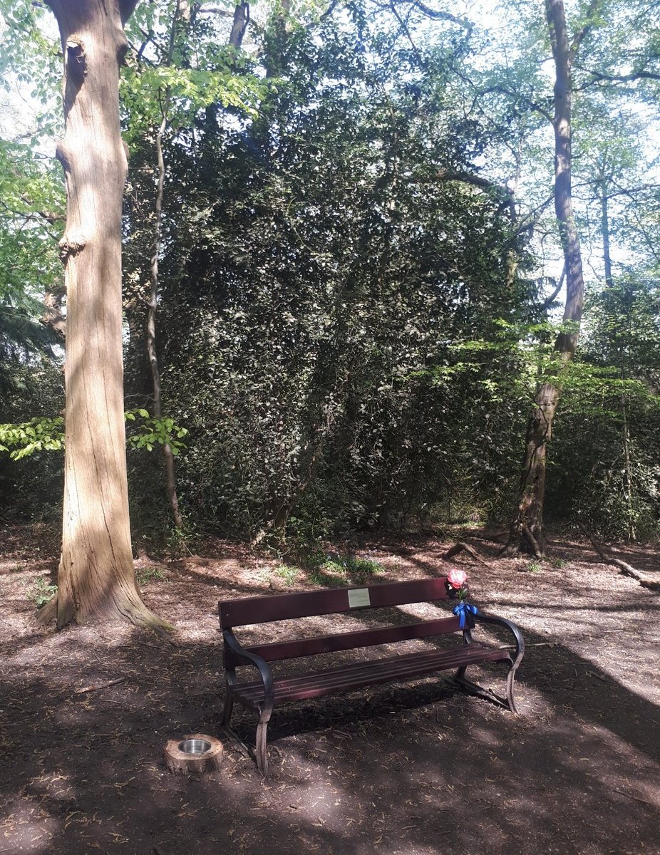 One year on, Sean is so deeply missed by his family and friends, who have been greatly comforted by all of the kind words and warm memories which have been shared - thank you. We look forward to celebrating his life and his work in the future, details of which we will share here.