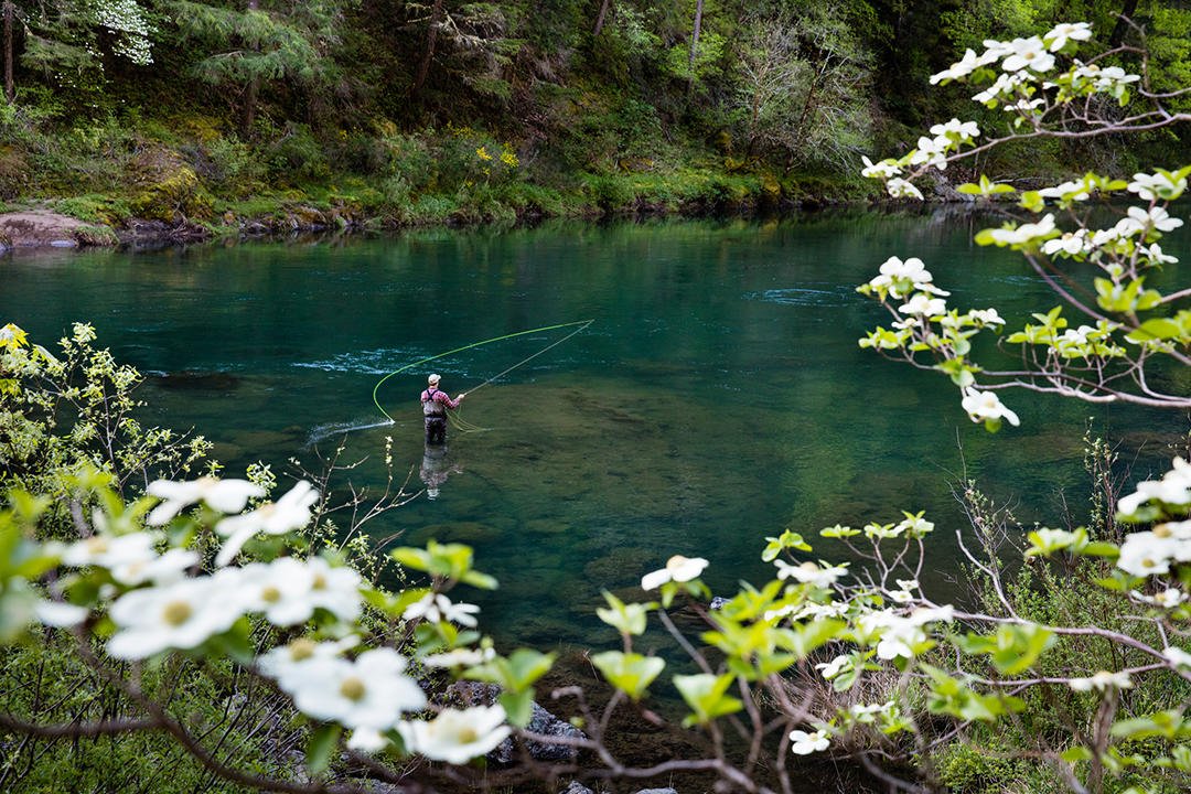 boatsetterfish's tweet photo. "If you are against a dam, you are for a river." - Environmentalist David Brower

Join Fisher Guiding at the @Patagonia SoHo for the premiere of "Undamming the Hudson River," a film by Jon Bowermaster on why undamming the Hudson River is essential. 

https://t.co/hsxCRmWfvK https://t.co/lFz1emZjZw
