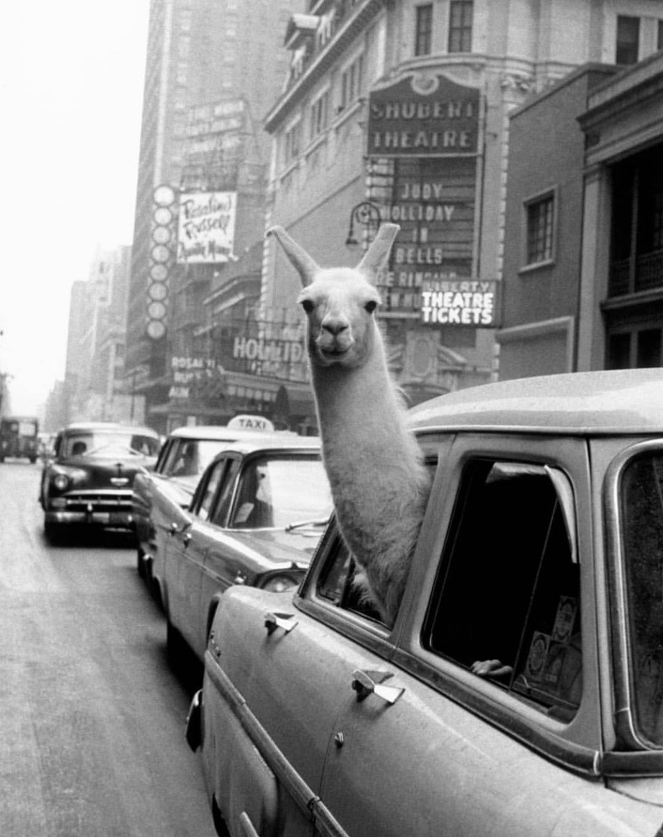 The Pop Up Flea tweet media