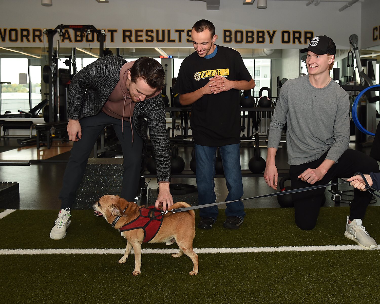 Boston Bruins on Twitter "Best day of the year? The NHLBruins were