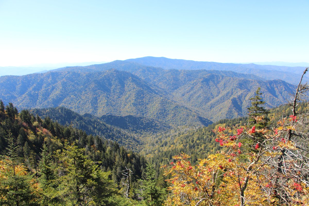 My_PigeonForge's tweet photo. "Autumn is a second spring when every leaf is a flower." -Albert Camus https://t.co/PtuBIDevU0
