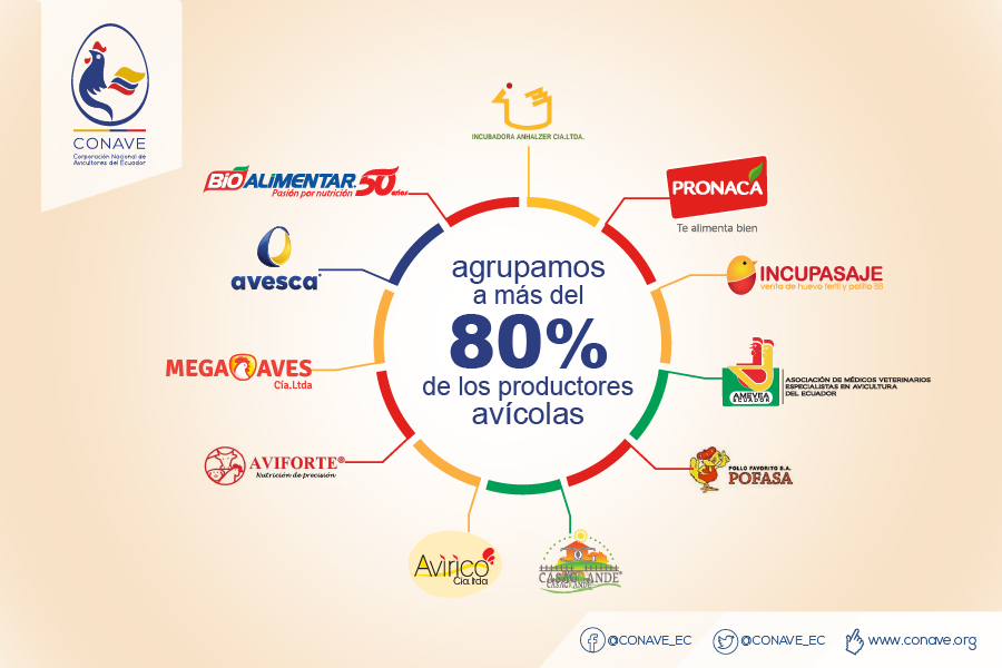 CONAVE_EC's tweet photo. A partir del 2010 #Conave integró a las asociaciones de avicultores regionales para lograr una gestión integrada del sector avícola.

@Pronaca_Tqma 
@AmeveaEcuador
@aviforte
@Bioalimentar
#Incupasaje
#Pofasa
#CasaGrande
#Avirico
#MegaAves
#Avesca
#IncubadoraAnhalzer https://t.co/cnfjxcXjpO